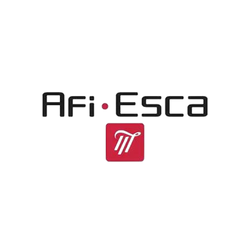 Logo AFI - ESCA
